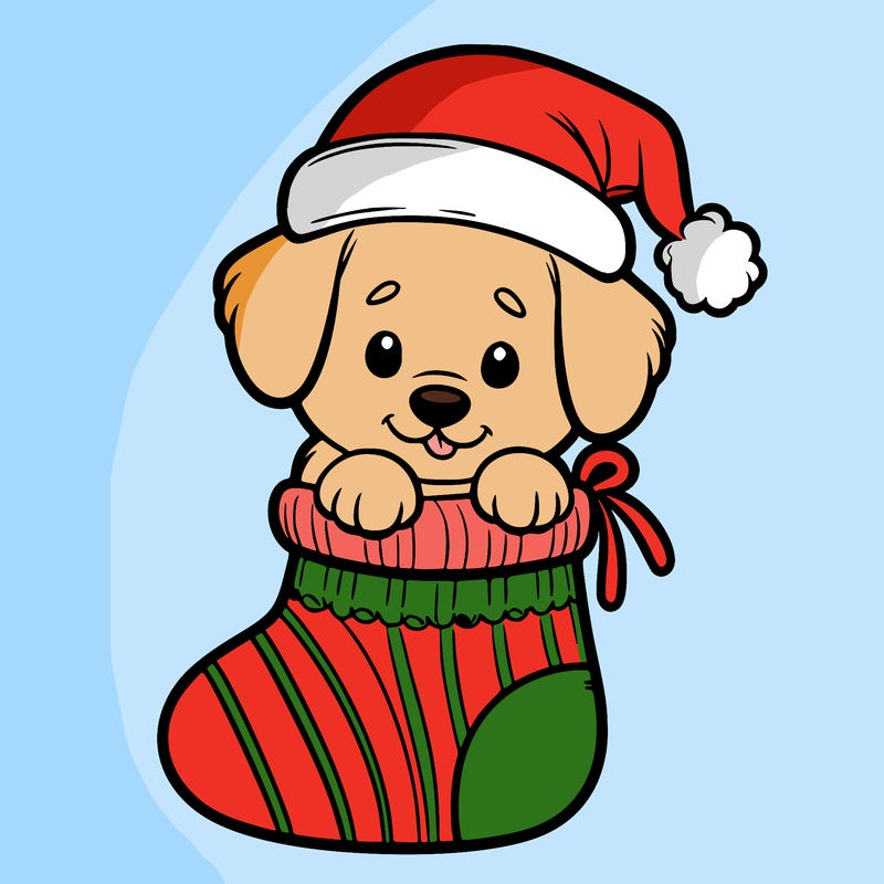 cute puppy wearing santa hat in socking