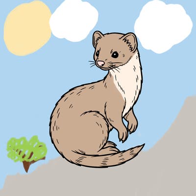 weasel