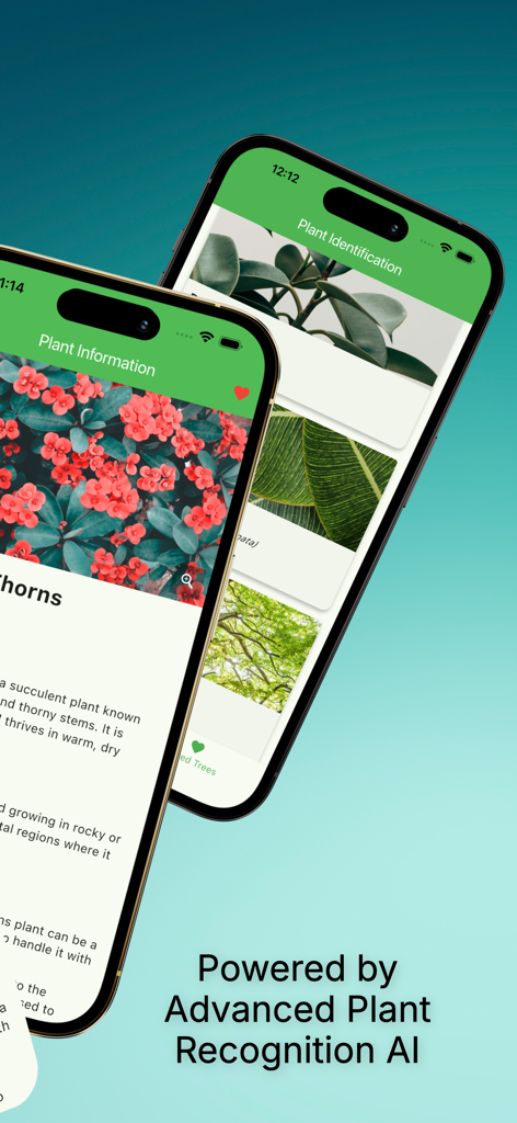 Leaf identification - Plantree - Plantree mobile app interface showing plant identification results and detailed information screens