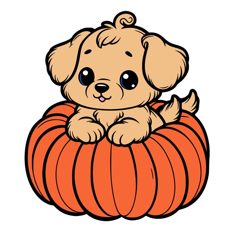 cute little puppy in a pumpkin