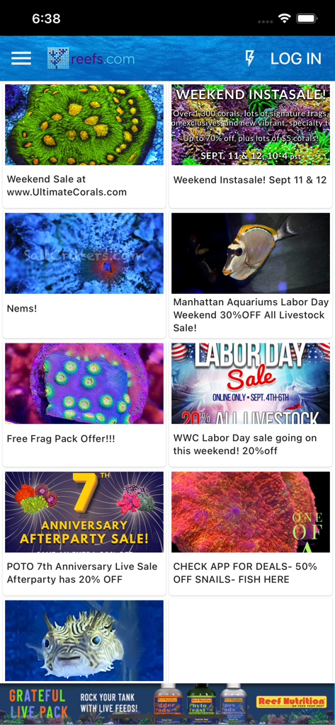 Reefs - A display of various saltwater aquarium livestock deals and sales within the Reefs app marketplace