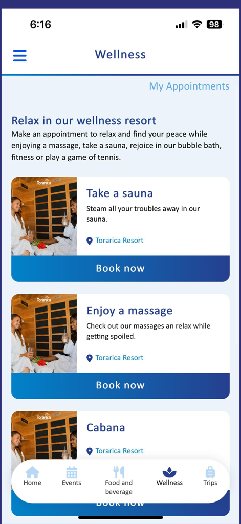 Toraricaモバイルアプリのウェルネスセクション。スパマッサージやサウナの予約オプションが表示されています。