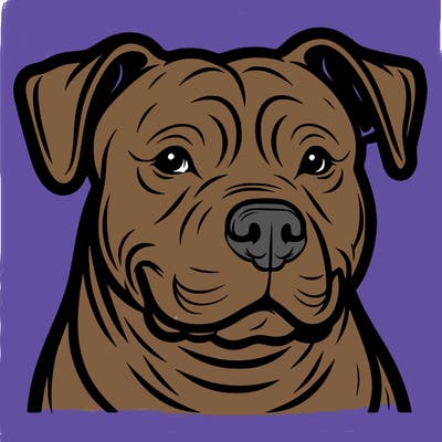 pitbull