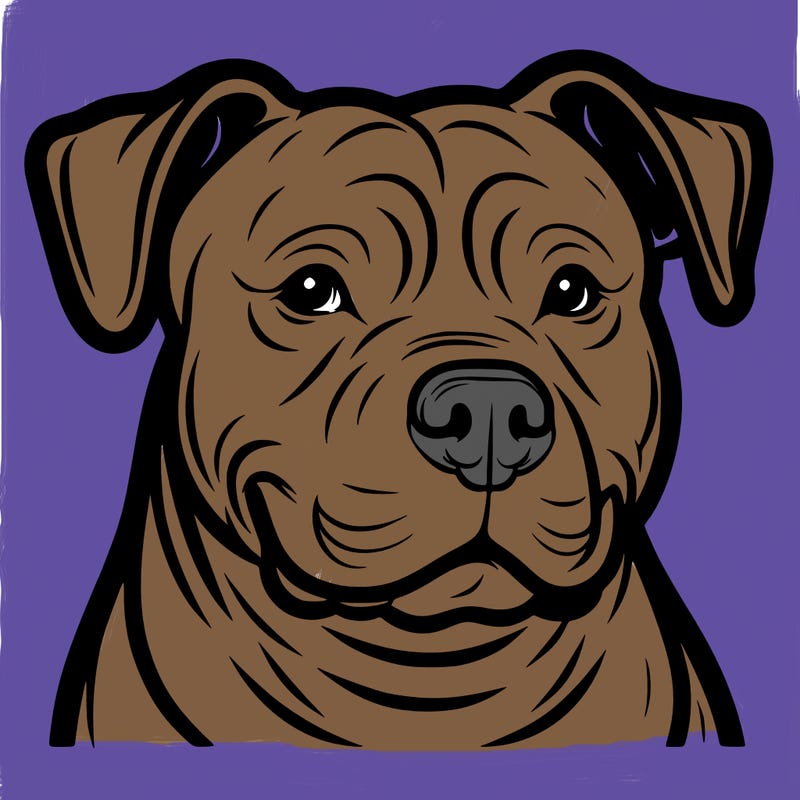 pitbull