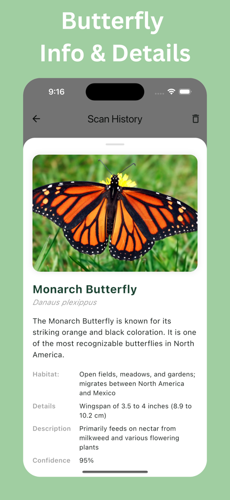 Butterfly Identifier: Photo ID - Mobile app screen displaying detailed scientific information and habitat facts for a Monarch butterfly.