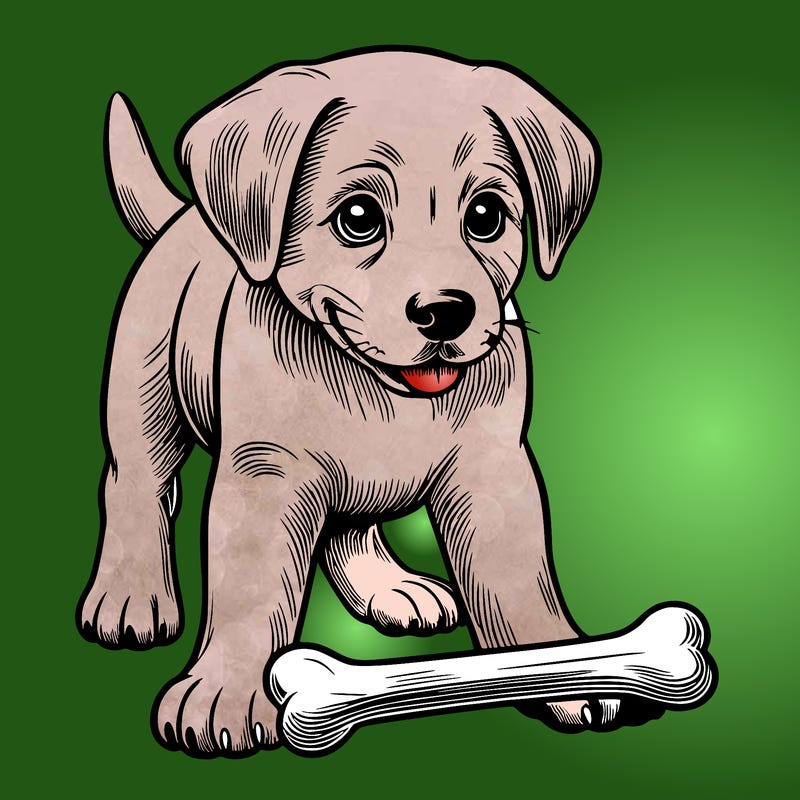 dog with a bone realistic