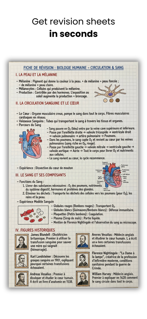 An AI generated handwritten biology revision sheet with diagrams of the heart and blood cells