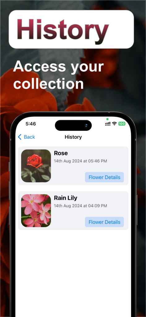 FlowerAI: Identify Flowers - FlowerAI app history screen showing a collection of identified flowers with dates and details