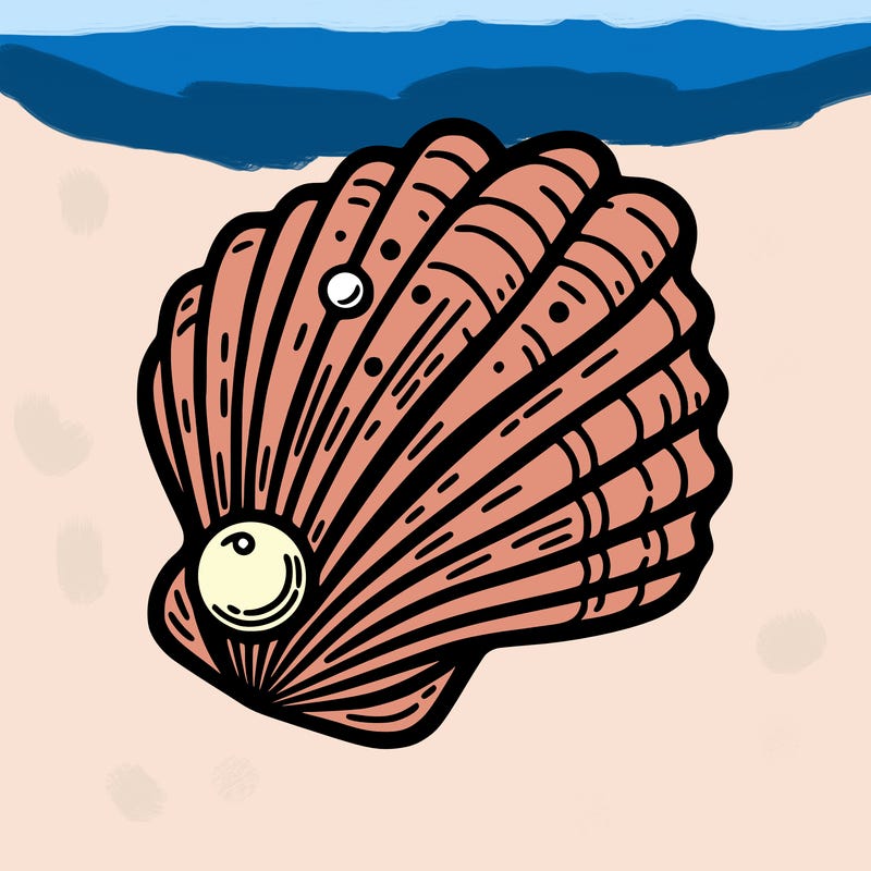 sea shell with pearl