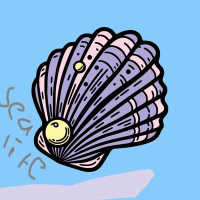 sea shell with pearl