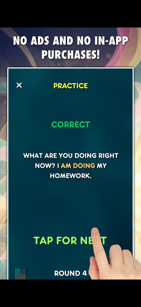 English grammar practice screen with a correct answer message