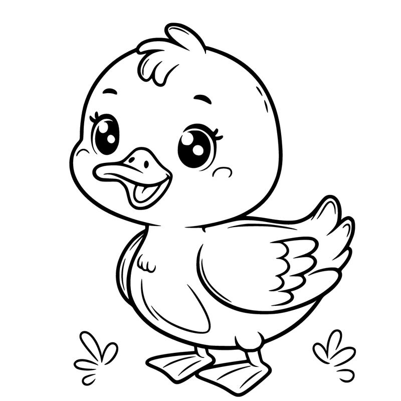 cute duck