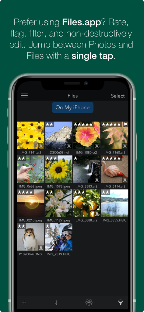 RAW Power - RAW Power app interface showing photo library management with ratings and flags in the Files app integration