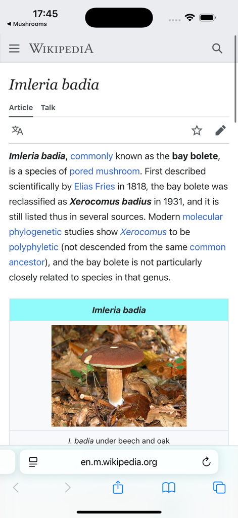 Wikipedia encyclopedia entry for the Imleria badia mushroom species