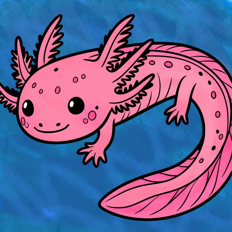 axolotl