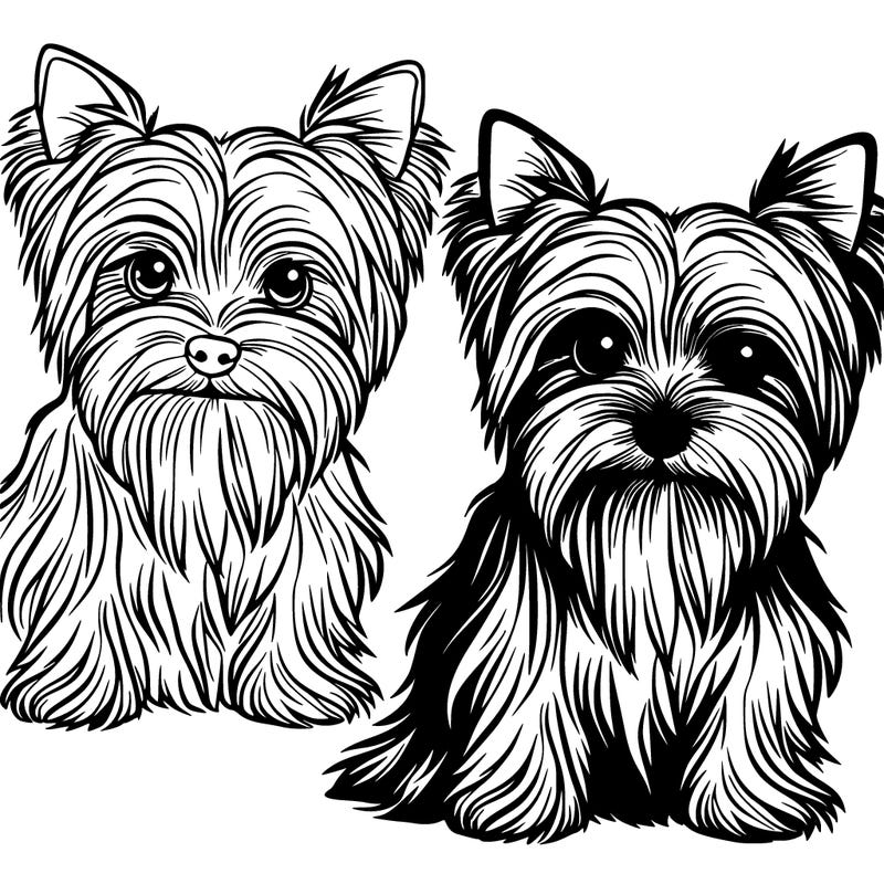 yorkieshire terrier