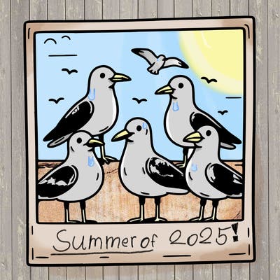 seagulls in a polaroid picture