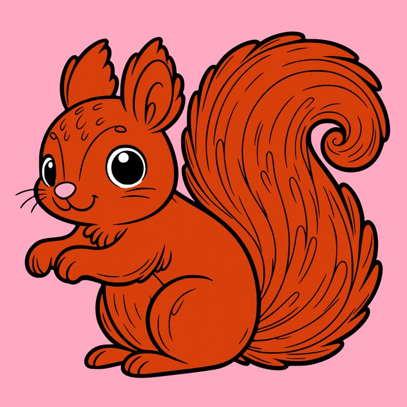 squirrel