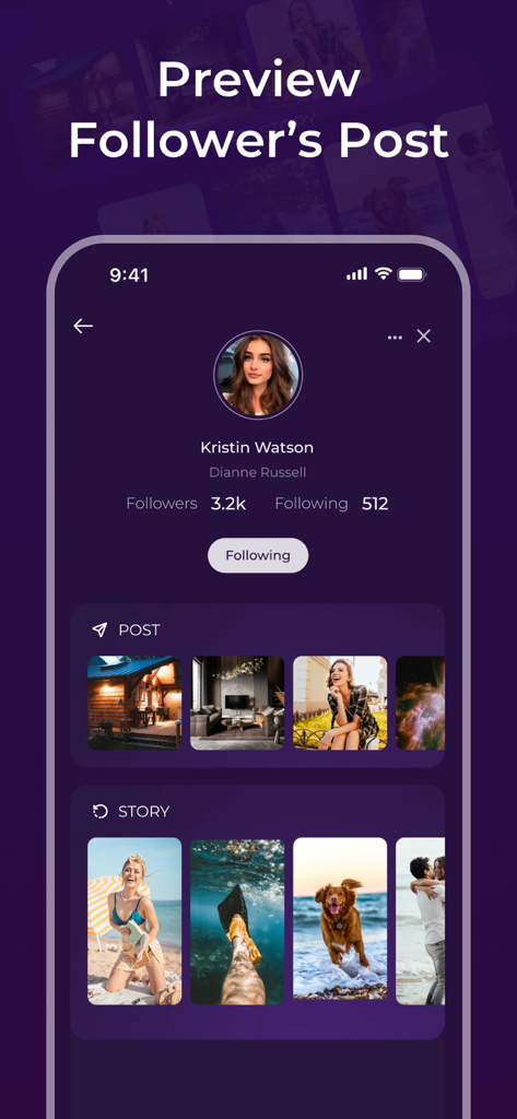 Unfollowers: Followers Tracker - Interface showing a preview of a follower's profile posts and stories