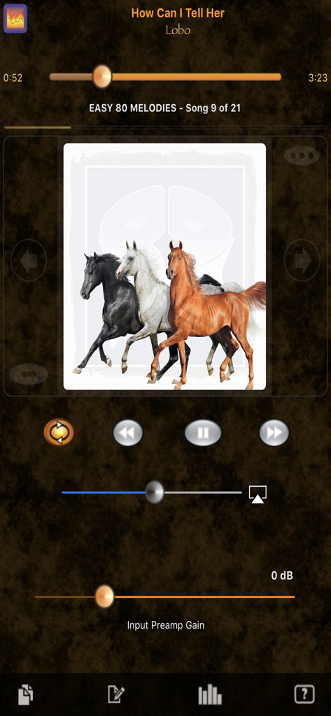 HD Music Parametric Equalizer - Music player interface of the HD Music Parametric Equalizer app showing playback controls and song info
