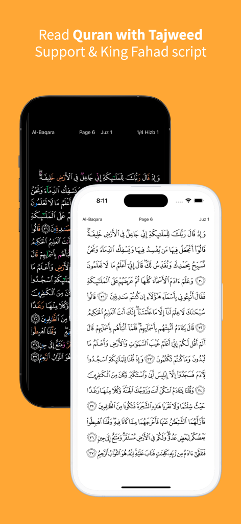 Interface do aplicativo Memorize Quran mostrando modos de leitura claro e escuro com suporte a Tajweed e script King Fahad.