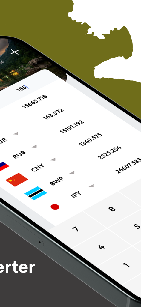 Minimalist mobile interface of a currency converter app showing exchange rates for multiple countries