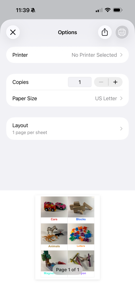Tela de opções de impressão no aplicativo Label Pics mostrando configurações de impressora e uma prévia de etiquetas fotográficas para brinquedos e itens de sala de aula