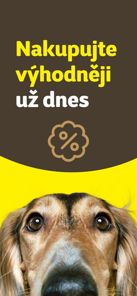 Super zoo - Tela promocional para o aplicativo de cuidados com pets Super zoo com um close-up de um cachorro e um símbolo de desconto.