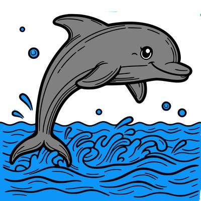 dolphin