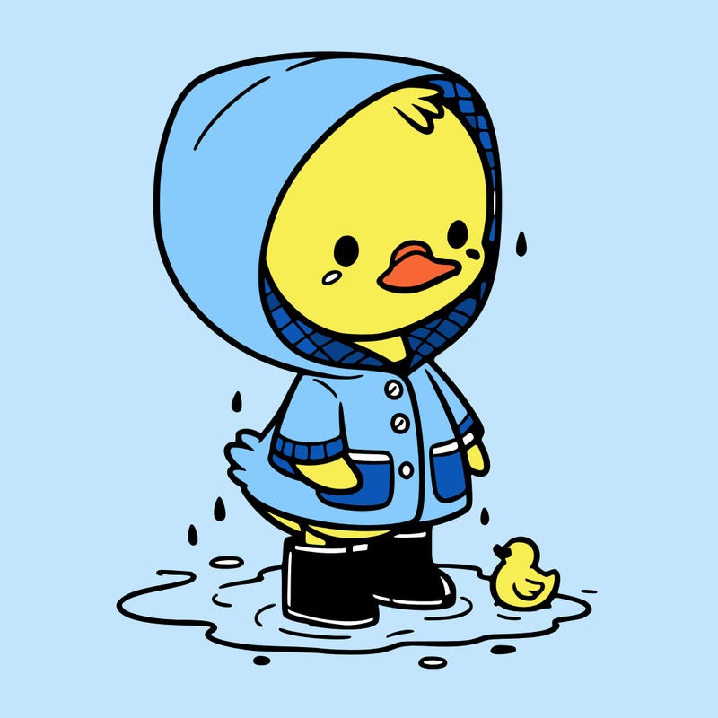 baby duck in a rain coat and boots, in a puddle while it’s raining