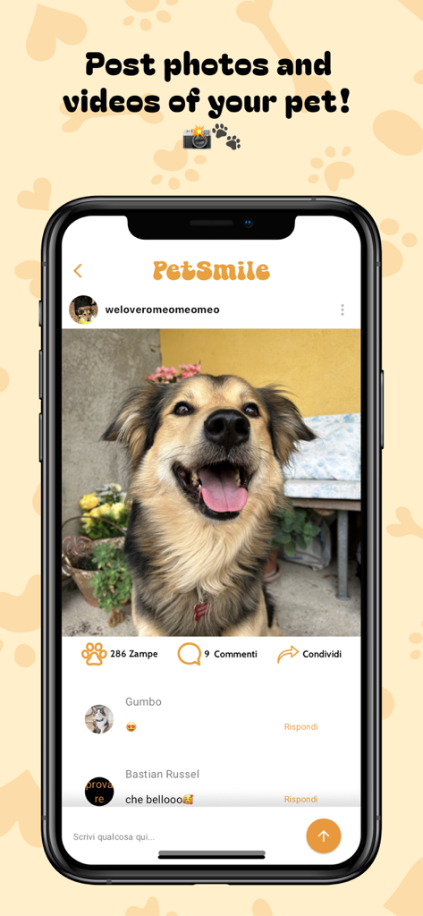 Pet Smile – Social Pet App - Pantalla móvil de la aplicación Pet Smile mostrando una publicación en redes sociales de un perro sonriente con "me gusta" de pata y comentarios de la comunidad.