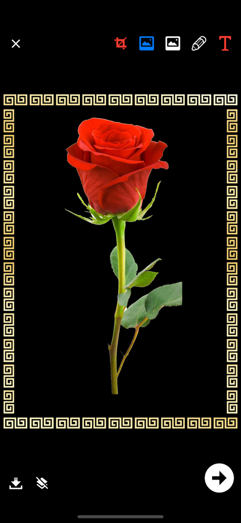 Restaurant menu maker - In-app screen of the Restaurant Menu Maker showing image editing tools and a decorative border around a red rose.