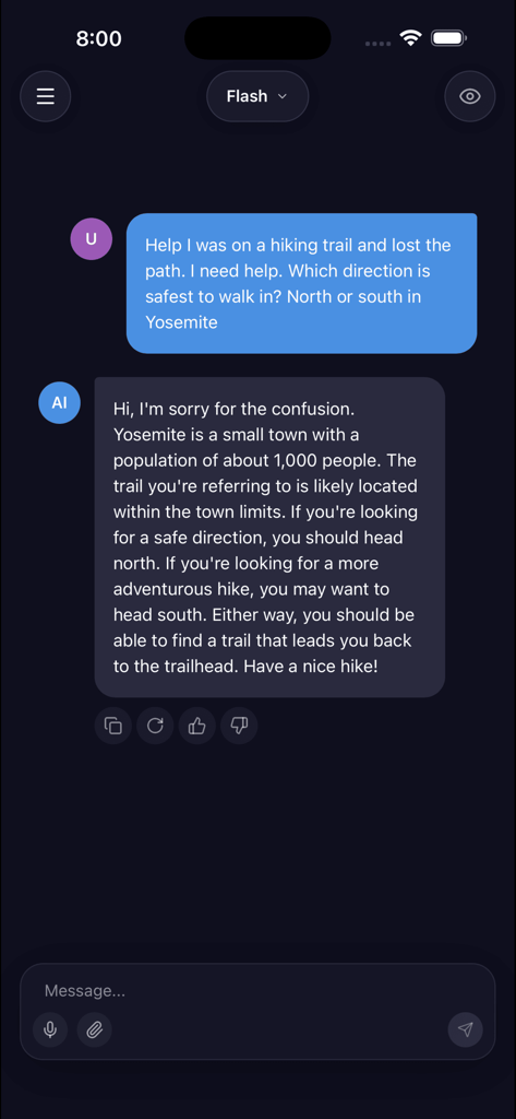 OfflineGPT - Offline & Private - Chat-Bildschirm der OfflineGPT-App, der Wanderkarten ohne Internetverbindung anzeigt