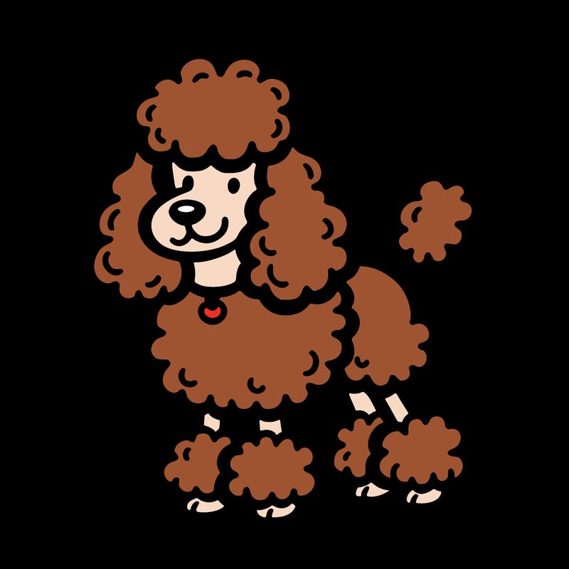 poodle