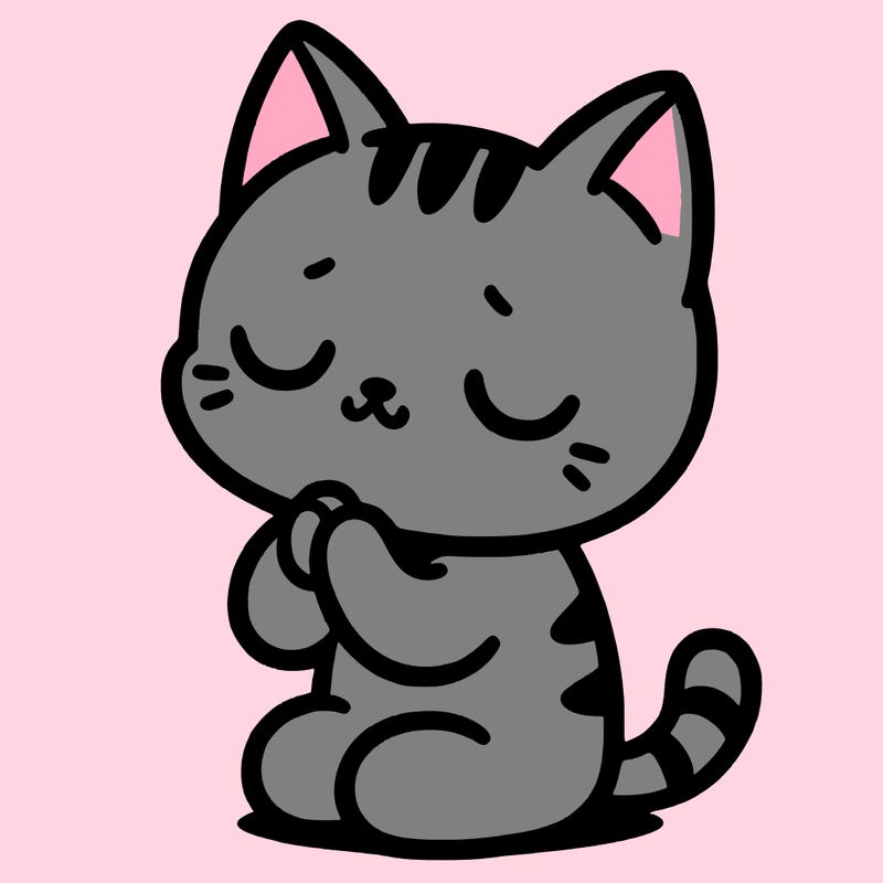 cat praying