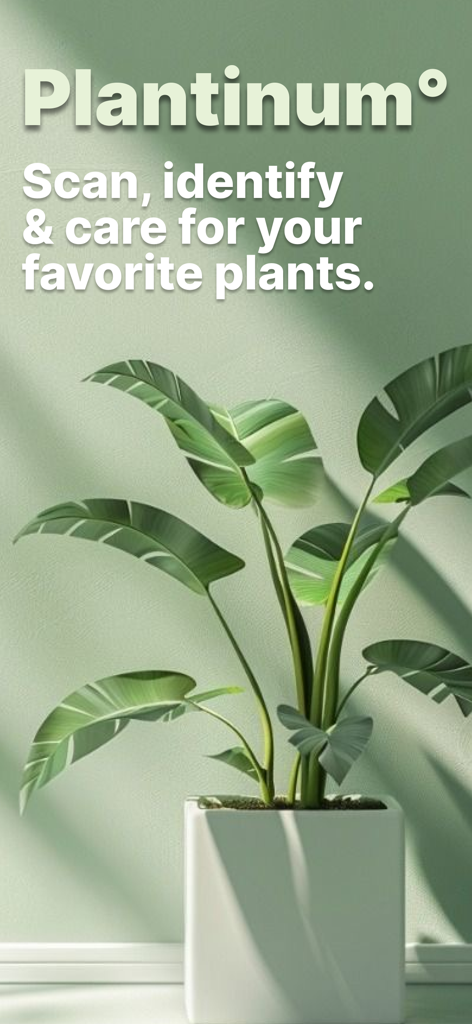 Plantinum App-Bildschirm mit einer Paradiesvogelblume und dem Slogan scannen, identifizieren und pflegen Sie Ihre Lieblingspflanzen