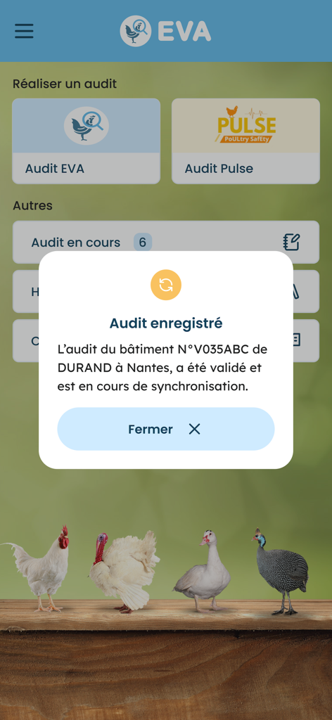 Schermata di conferma nell'app EVA che mostra un audit avicolo salvato con successo con stato di sincronizzazione.