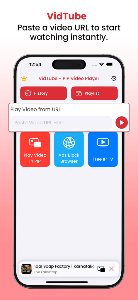VidTube - PIP Video Player - VidTube app interface on iPhone showing a video URL input field and buttons for PIP mode, ad block browser, and IPTV.