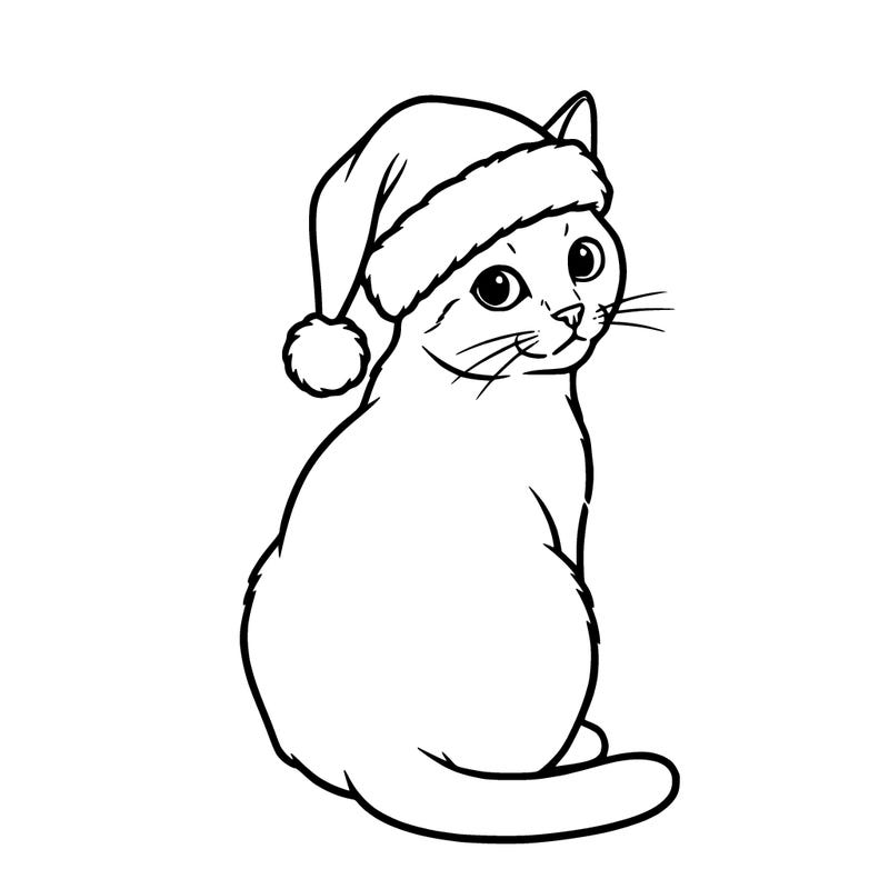 cat with a christmas hat