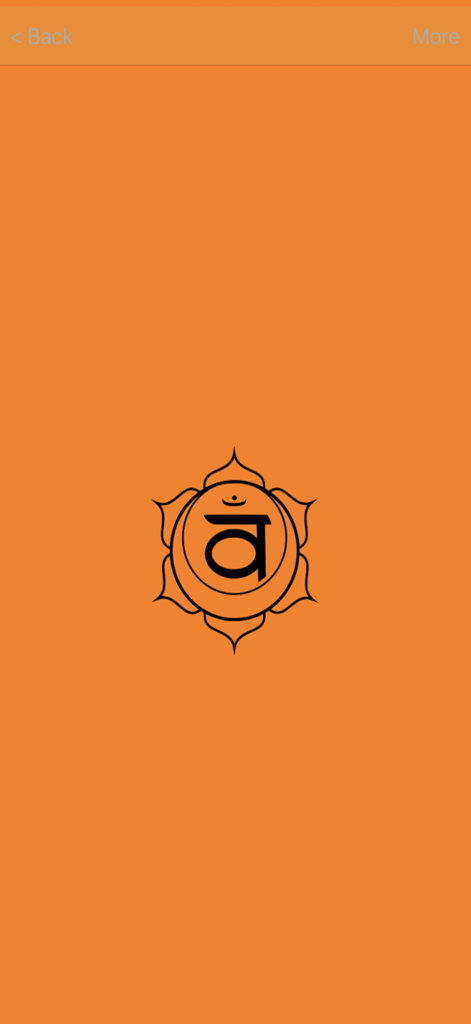 Black sacral chakra symbol centered on a vibrant orange background for meditation