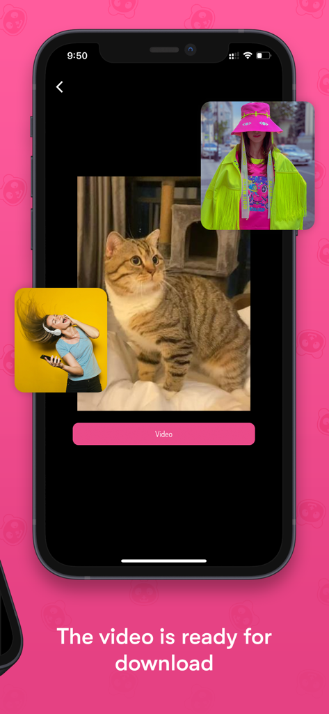 Panda Saver: Video Bookmarks - Panda Saver app interface showing a video preview of a cat and a message saying the video is ready for download