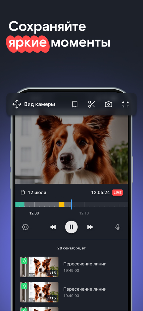 Smart home app interface showing a live video feed of a dog with motion event history