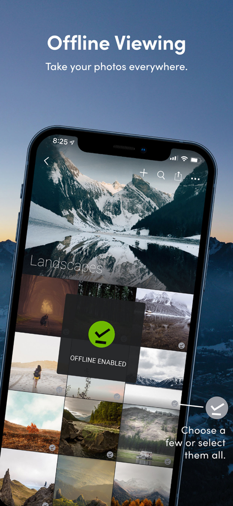 SmugMug - Store & Share Photos - Interfaz de la aplicación SmugMug demostrando la función de visualización sin conexión para una galería de fotos.
