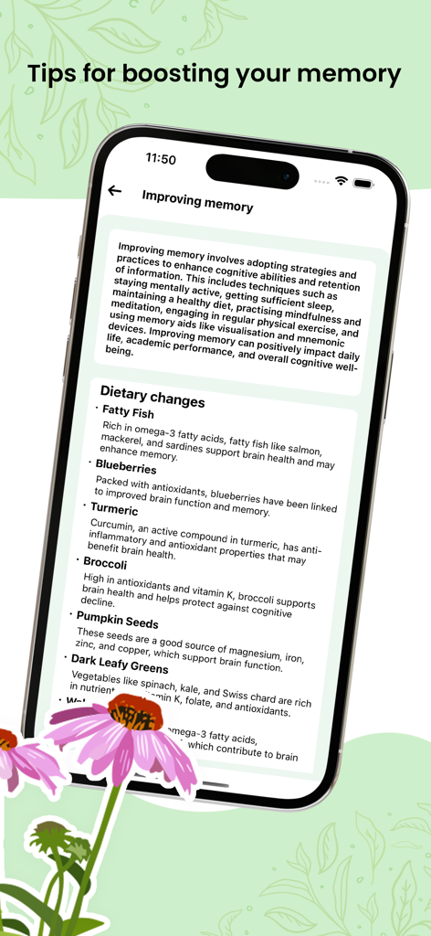 Herbal Natural Care - Ayurveda - Herbal Natural Careアプリで記憶力を向上させるための自然食品のおすすめを表示するスマートフォンの画面。