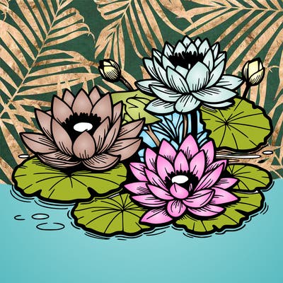 lotus flowers with leaf in a pond in japan