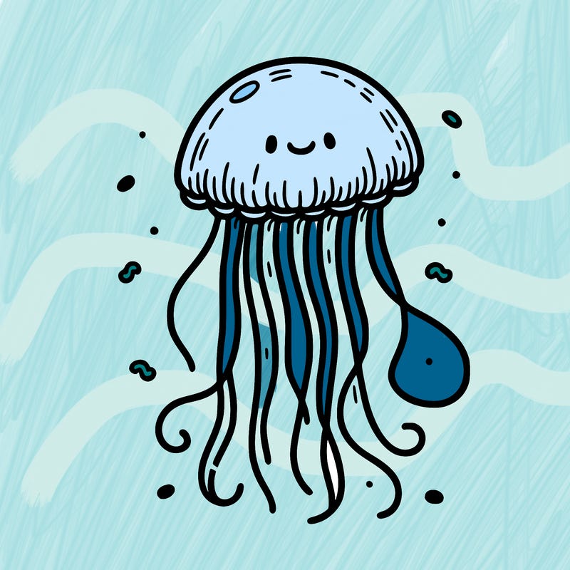 jellyfish