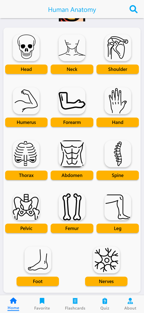 Home screen of the Learn Muscles Anatomy app featuring various body region categories